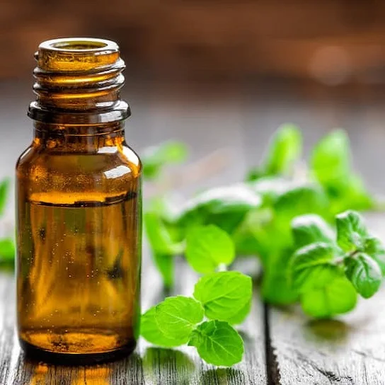Peppermint Essential Oil for acne scars Cosmetic grade Soap Flavours Factory Sale High Concentration Organic Perfume Oil