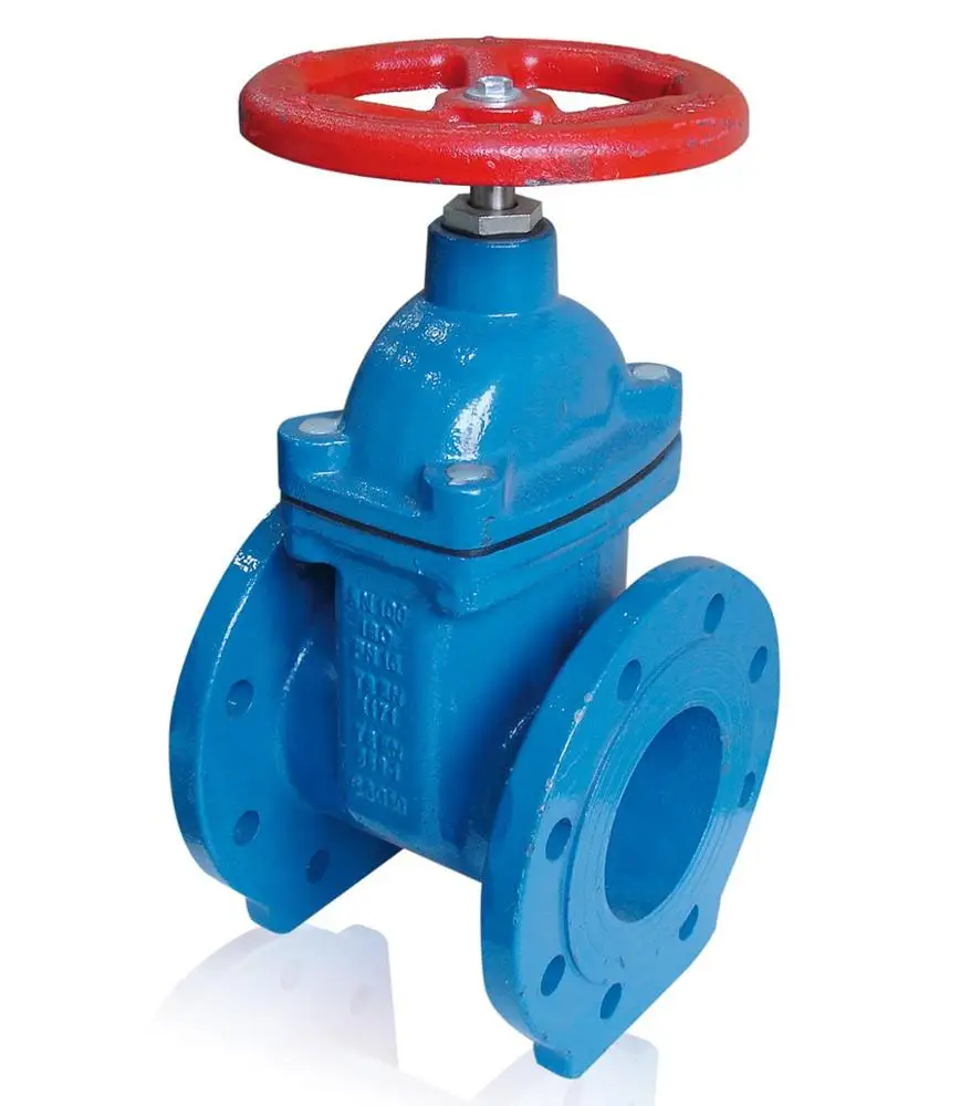 DN50 Gate Valve (Resilient Seated)