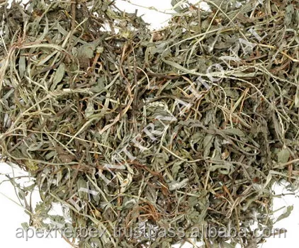 Eclipta Alba Whole Plant Bhringaraj Whole plant Dried