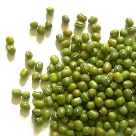 Vigna radiata - Ethiopia Mung Beans Green