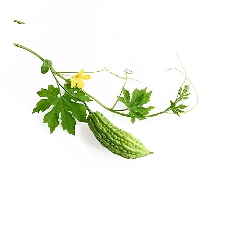 100% Pure Natural High Quality Peru Balsam Oil For Face Body And Hair Myroxylon pereirae Oil Suppliers