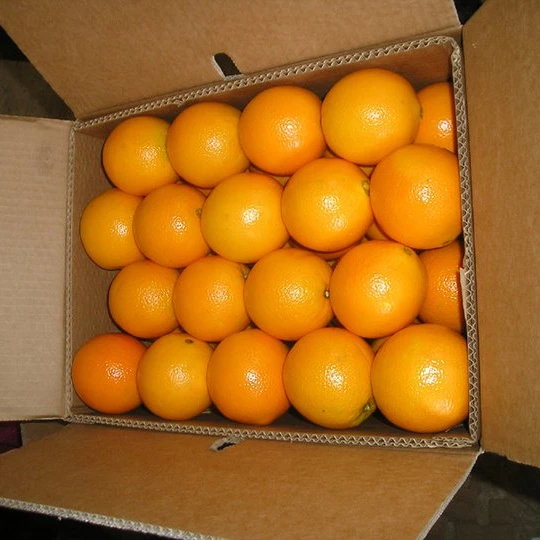 oranges carton weight 15 kg and 8 kg of Navel and Valencia Orange from Egypt