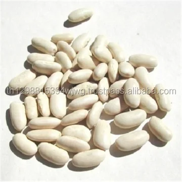 America Round Light Speckled Kidney Bean Red Beans
