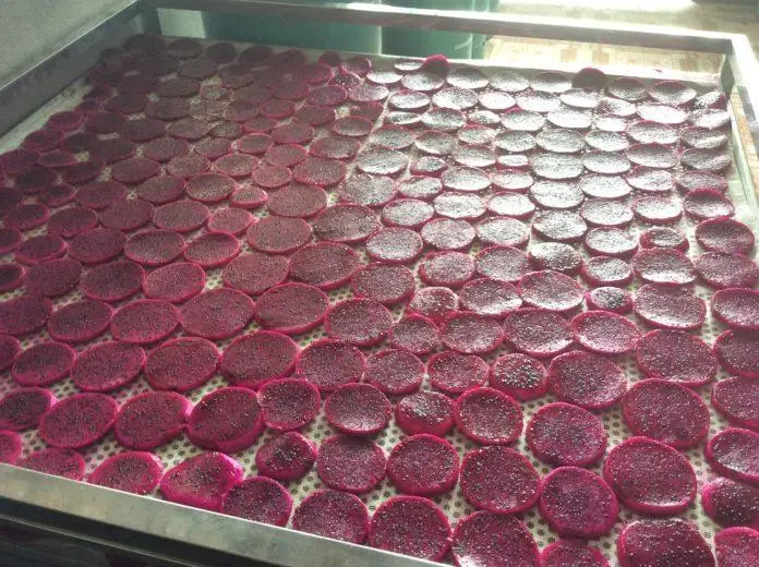 DRIED DRAGON FRUIT `100% NATURAL FROM THAILAND