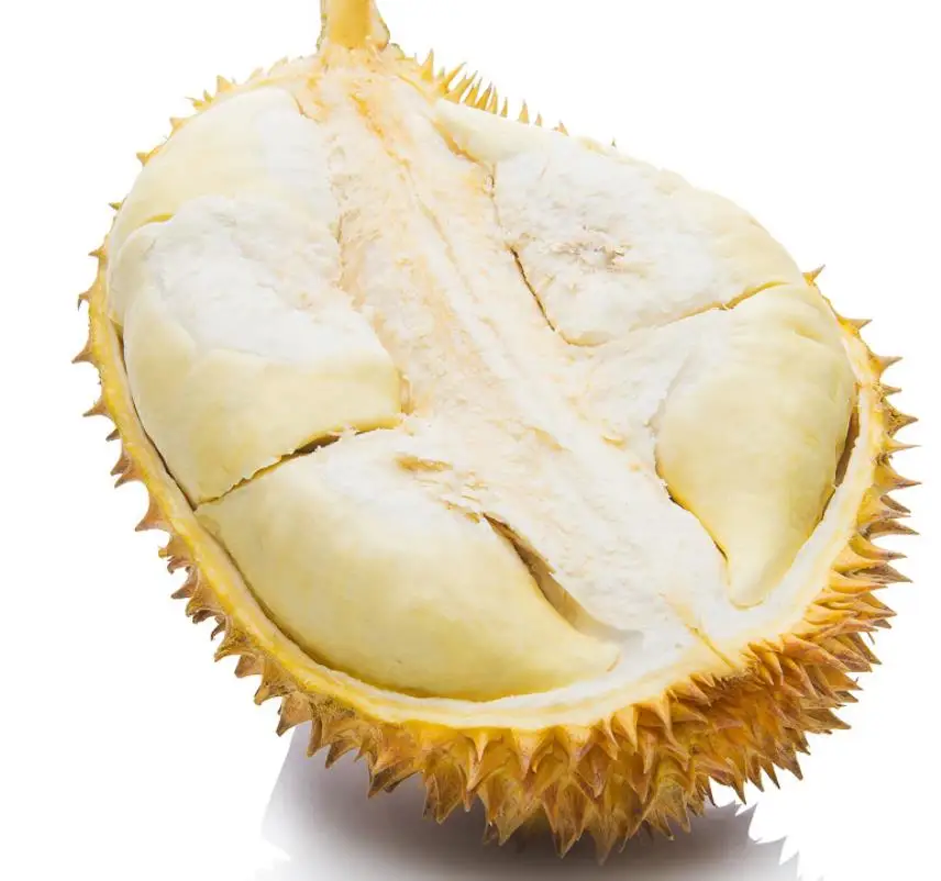 Yellow loose delicious snacks Frozen dried durian fruit meat