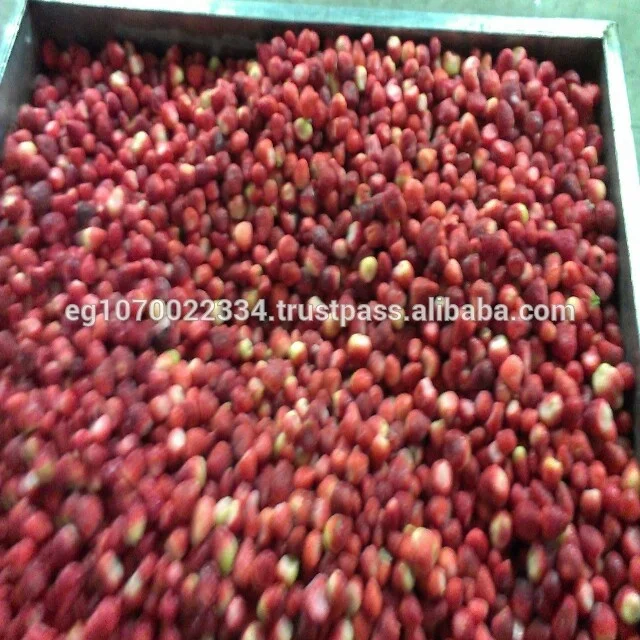 price for frozen strawberry , strawberry frozen  ready to export to Russia