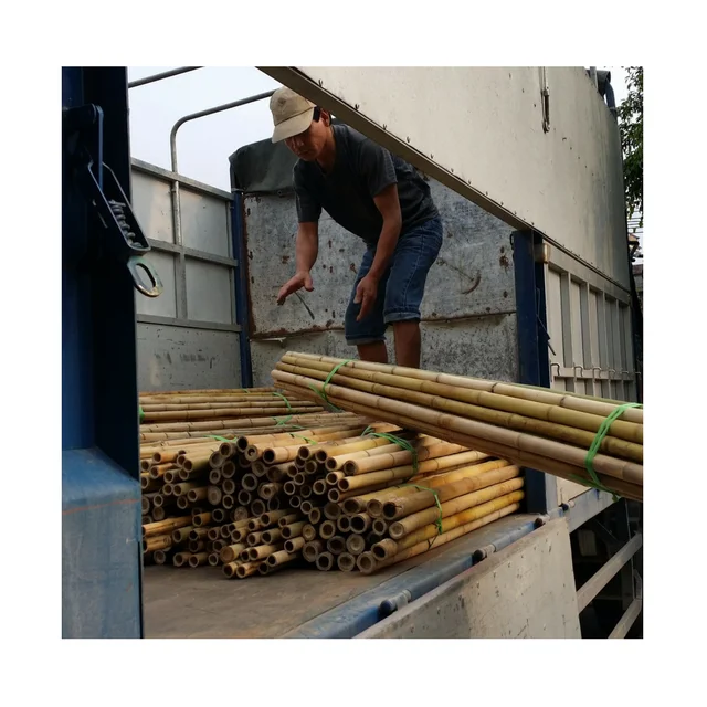 HOT SALE bamboo poles with the best price