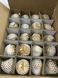  Свежий натуральный кокос: молодая замороженная кокосовая вода-отлично подходит для экспорта (WHATSAPP + 84 845 639 639)