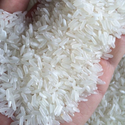 Organic Long Grain Rice  Long Grain Long Grain White Rice BASMATI Rice Sale