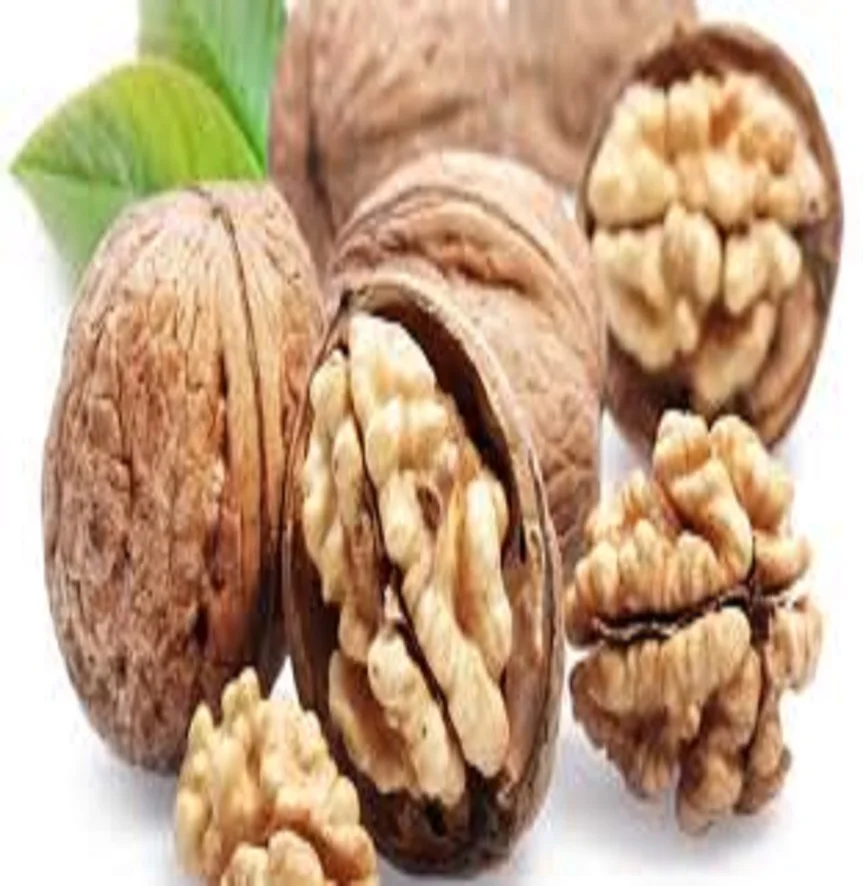 
Top class Organic Walnut Kernel with Top Quality, Wholesale Walnuts without Shell for Sale 