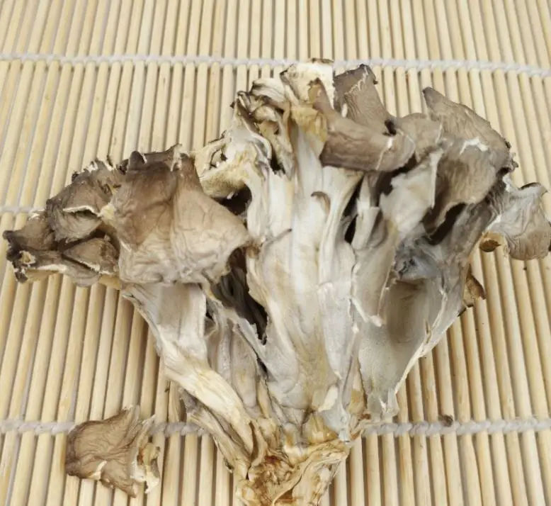 Natural dried Dancing Mushroom Grifola Hen of the Woods Shelf Fungi for food