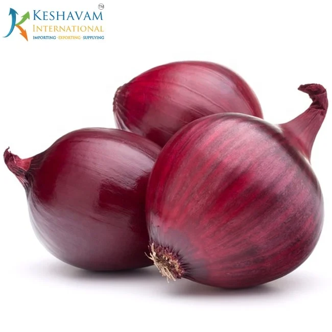 Export Quality Fresh Red Onion