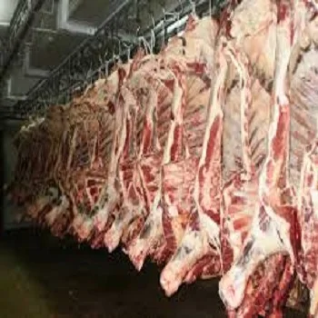Halal Buffalo Boneless Meat/ Frozen Beef Omasum/ Frozen Beef