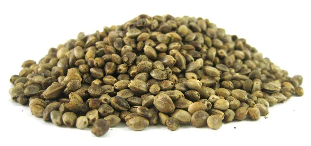 
Hemp Seeds,High quality Hemp Seeds For Sale,Hemp Seeds of best quality 