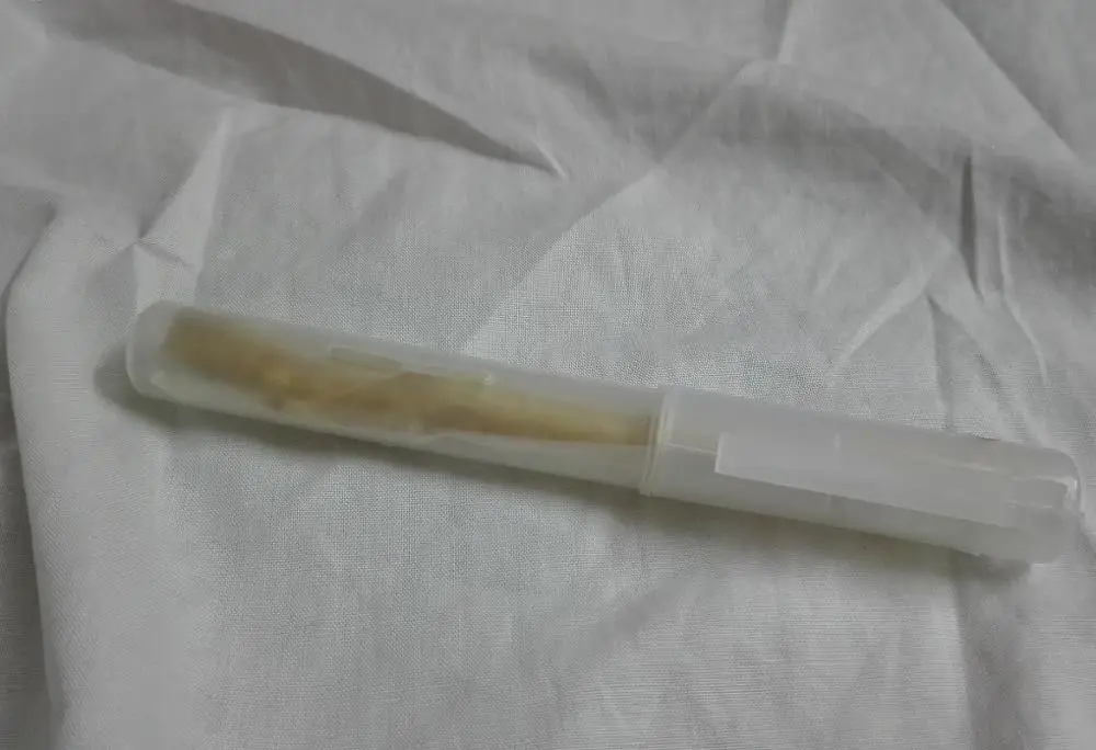 Miswak with holder Miswaak cover price , Cheap Peelu Miswaks Custom brand Miswak Sticks Vacuum Sealed , Bulk Miswak Sewak