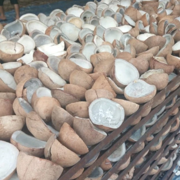 Белый копра из Индонезии-лучший