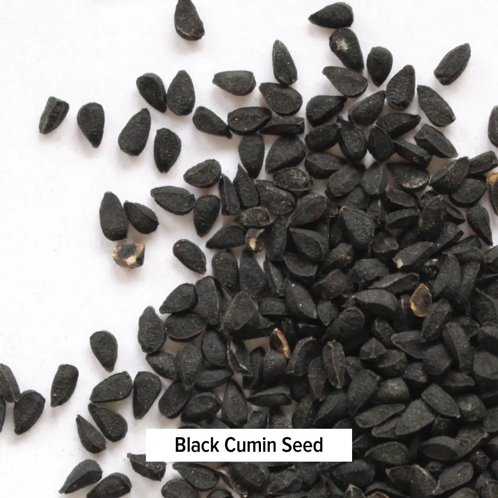 Black cumin / nigella sativa turkey / Kalonji seeds cleaned     --- Whatsapp +91 73580 94554