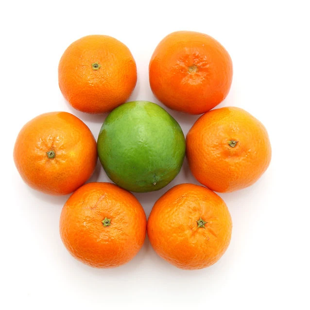 fresh mandarin orange fruit/Nanfeng baby mandarin orange