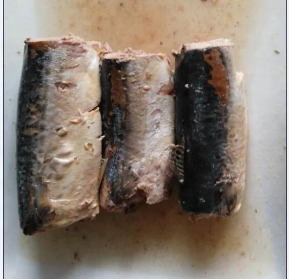 
Canned jack mackerel JUREL Trachurus in Brine 425G 