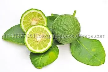 Dried Kaffir Lime Leaves 100% Natural Product of Thailand