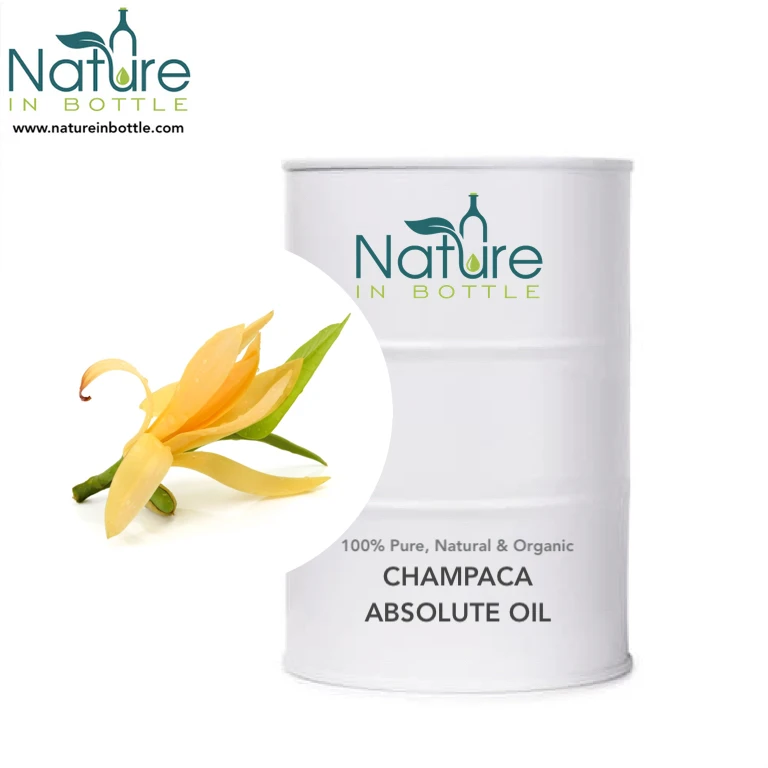 Magnolia Absolute Oil | Pure Red Champaca Absolute - 100% Organic and Natural Absolute Oils - Bulk Wholesale Price