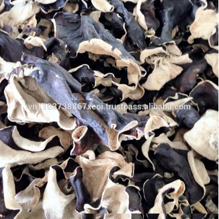 Best price New dried black fungus food grade from VietNam/ whatsapp +84 845 639 639