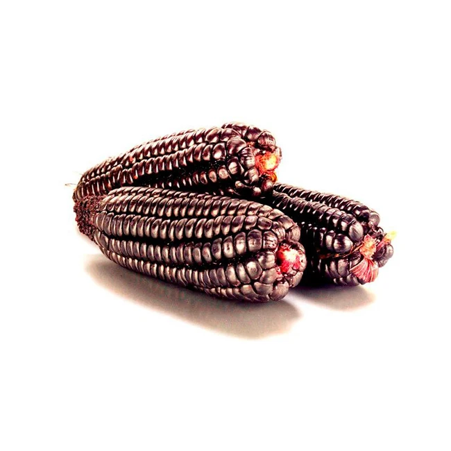 Wholesale Bulk  Supplier of Best Quality Purple Corn Powder for Sale