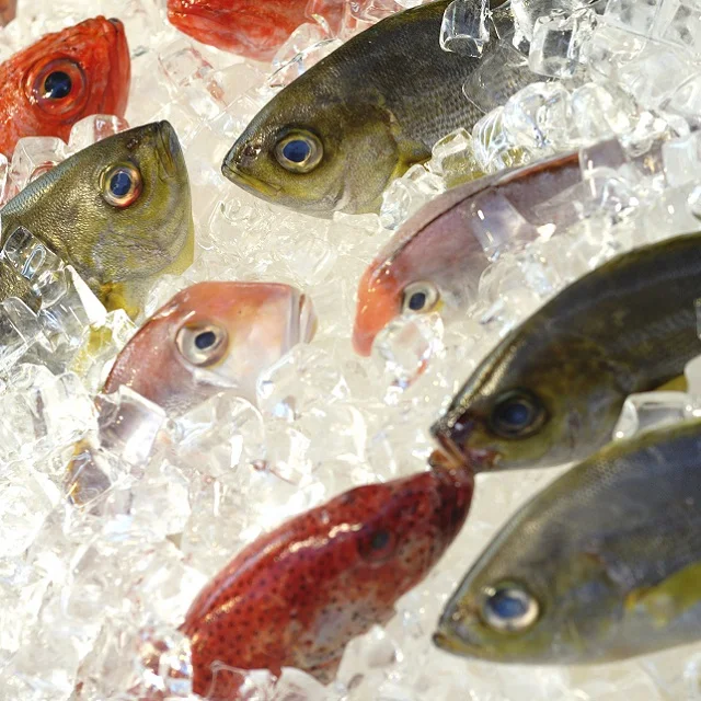 Price for frozen fish