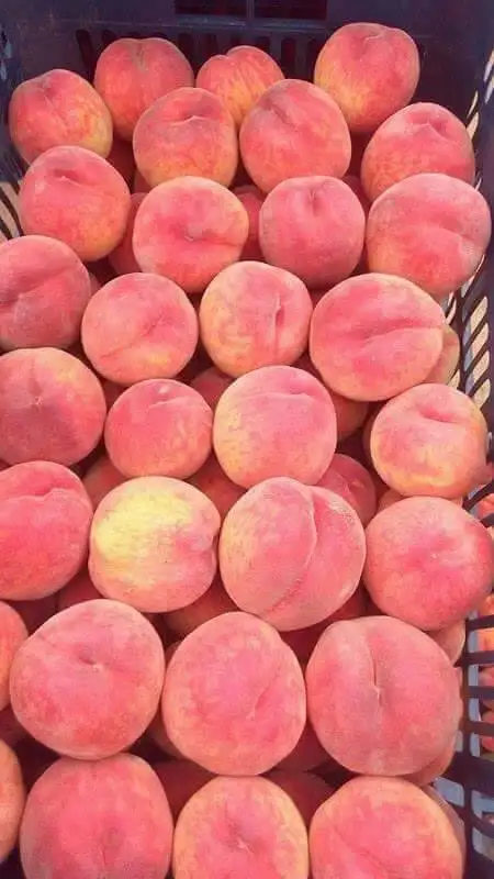 
fresh peach for sale 