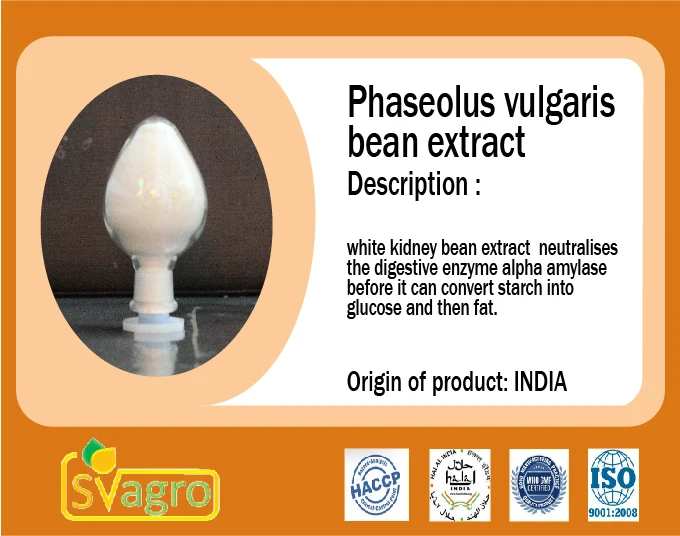 Pure White Kidney Bean Extract  kidney bean rajma  surkh red lobia Phaseolus vulgaris Phaseolus vulgaris L.