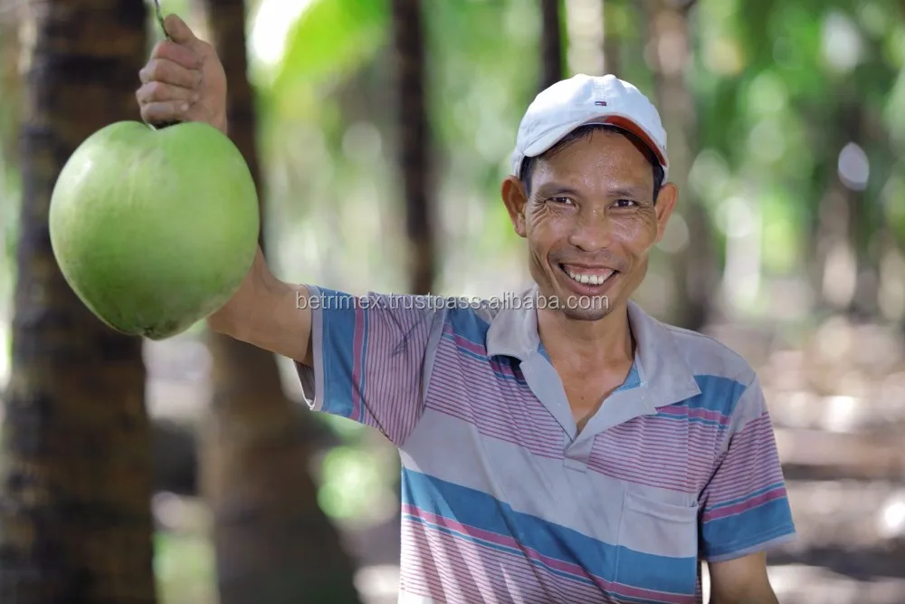 ORGANIC COCONUT WATER _ TETRA PAPER ASEPTIC