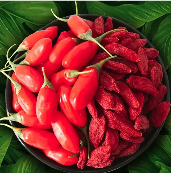 Certified High Quality Organic Goji berry