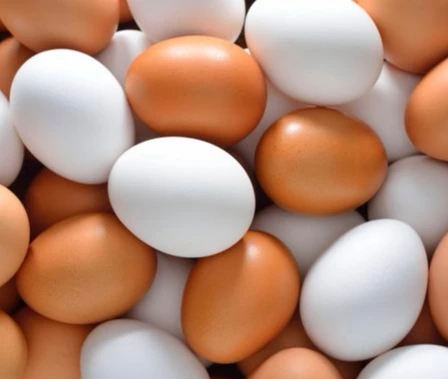White and Brown Jumbo Chicken Eggs