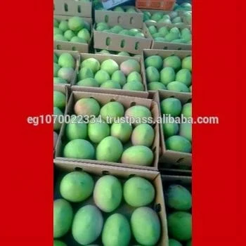 mango fruit from Egypt best price  AND BEST QUALITY