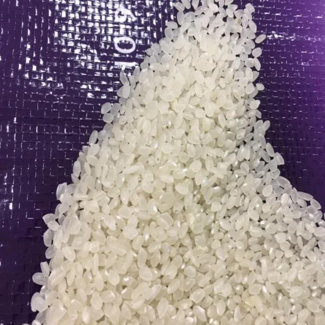 3% BROKEN CAMOLINO RICE WITH GOOD PRICE