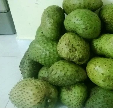 Fresh graviola- soursop- fruit from Vietnam 2021/ Whatsapp +84 845 639 639