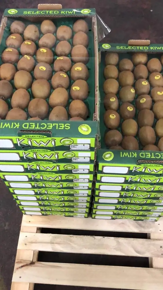 
Fresh Kiwi fruit wholesales / Kiwi Greek origin Grade 1 for export 