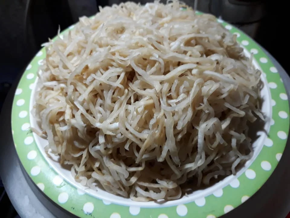 Air Dried Radish/ Sliced 7 - 9cm High Quality  Dehydrated White Radish