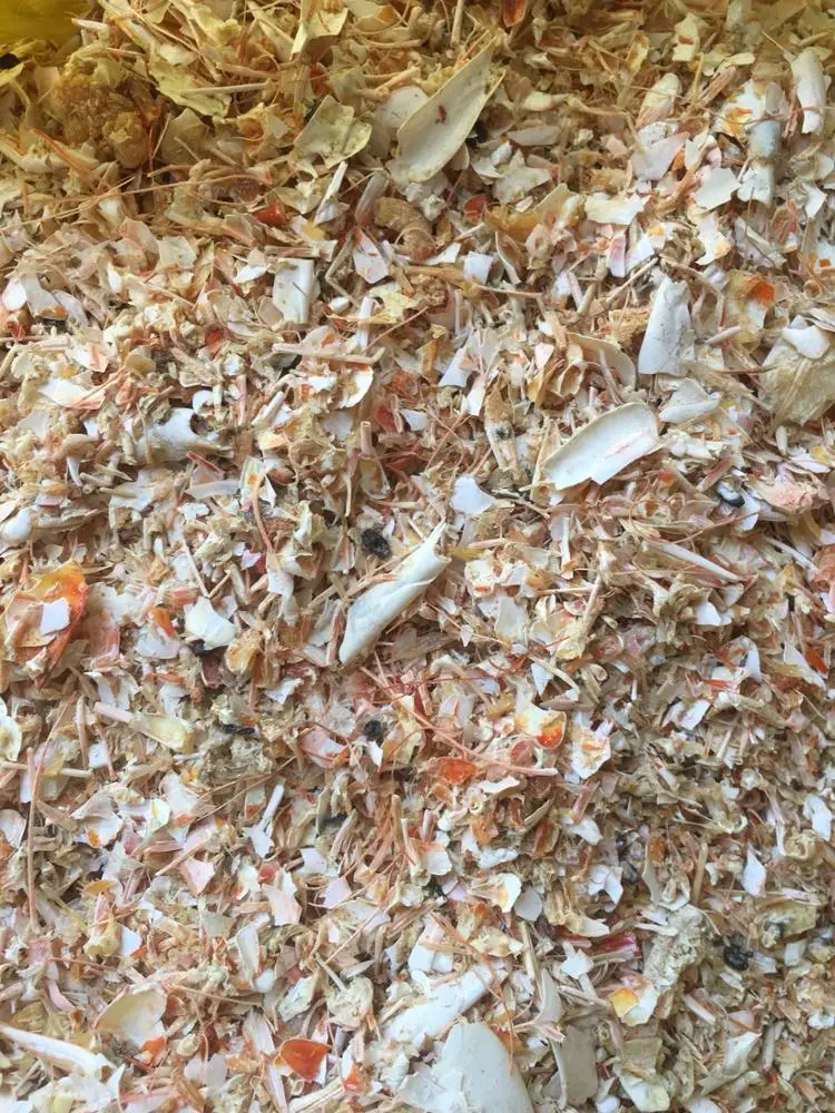 Dried shrimp shell / Shrimp shell from Vietnam
