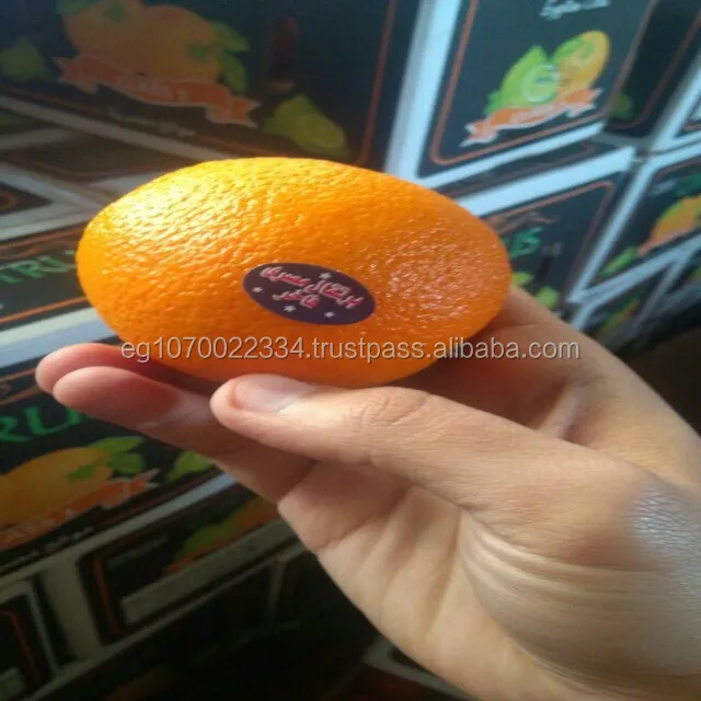 Fresh orange - Low Price - Finest quality - Egyptian origin