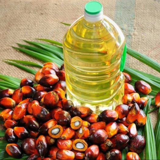 
Wholesale Organic Palm Oil 