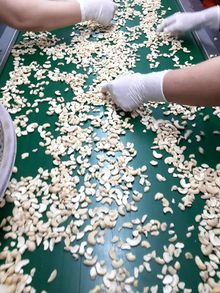 Различные орехи кешью конкурентоспособная цена Вьетнам