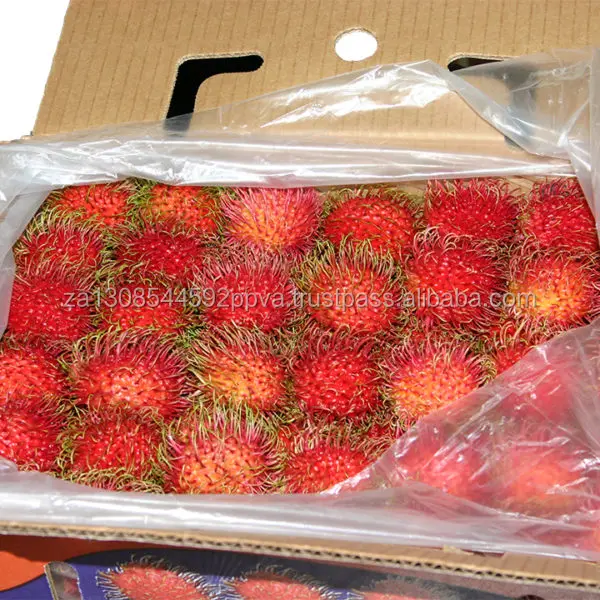 Fresh Rambutan For Sale