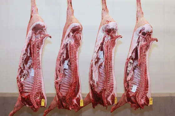 FROZEN BEEF MEAT PORK HALF CARCASS FOR SALE