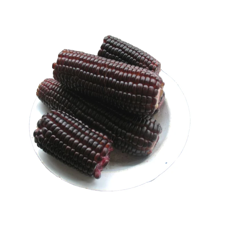 Fresh and High-quality Purple Corn Powder From Peru