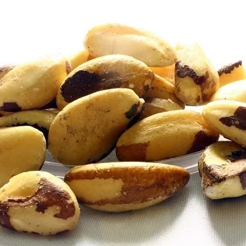 
 Raw Brazil Nuts /Brazil Nuts Shelled Brazil Nuts -100% Natural at best costs  