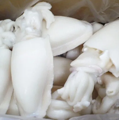 high quality frozen/dried cuttlefish