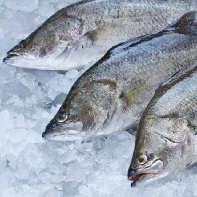 Price for frozen fish