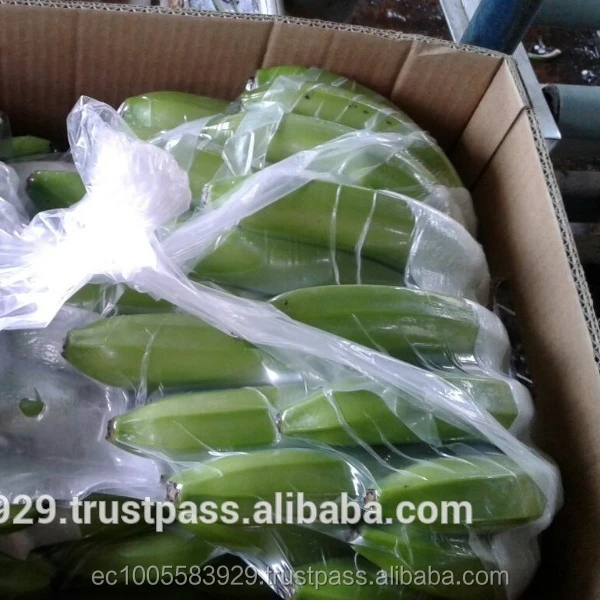 Бананы ПРЕМИУМ КАВЕНДИШ