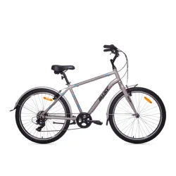 NEW 2019 BEST SELLER CYCLE CITY BIKE URBAN TOURING BICYCLE AIST Cruiser 1.0